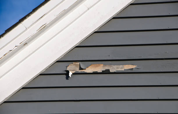 Best Vinyl Siding Installation  in Calabash, NC